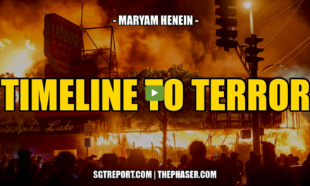 TIMELINE TO TERROR — Maryam Henein