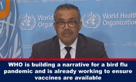 WHO is building a narrative for a bird flu pandemic and is already working to ensure vaccines are available