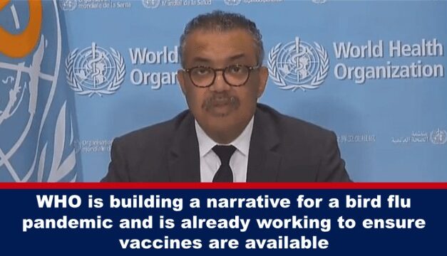 WHO is building a narrative for a bird flu pandemic and is already working to ensure vaccines are available