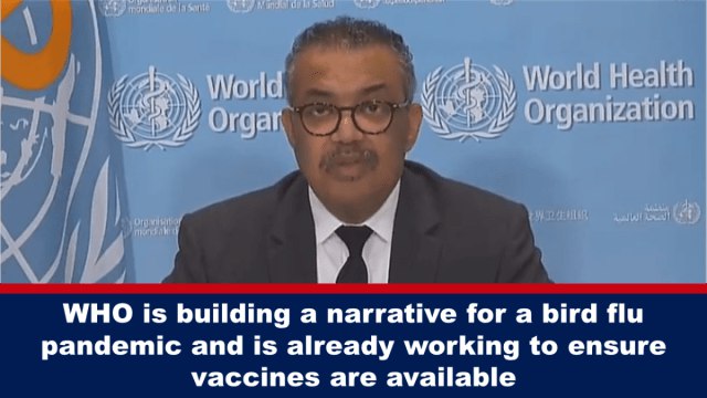 WHO is building a narrative for a bird flu pandemic and is already working to ensure vaccines are available