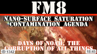 FM8 – NANO SURFACE SATURATION AGENDA