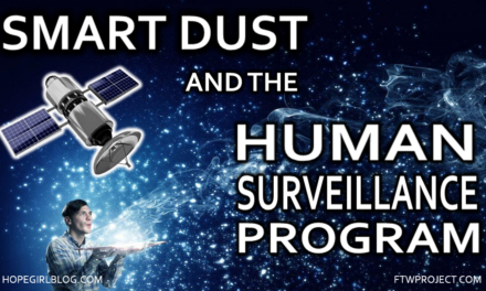 Smart Dust and Human Surveillance. An Interview with Quinn Wright