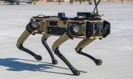 NFL stadium unleashes ‘robodog’ security robot armed with night vision and facial-recognition software: Stadium owners say ‘our fans just love it’