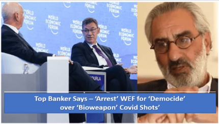Top Banker: ‘Arrest’ WEF for ‘Democide’ over ‘Bioweapon’ Covid Shots