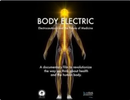 Body Electric: Electroceuticals and the Future of Medicine