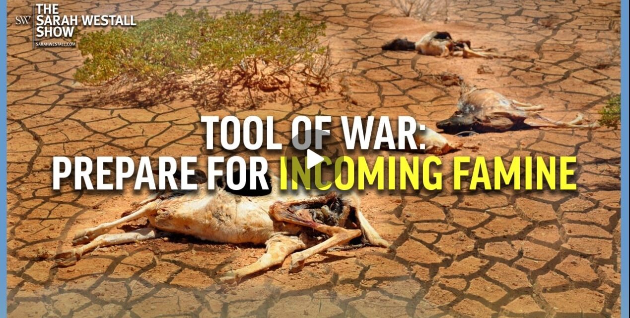 Incoming Famine, Food as a Weapon of War w/ Marjory Wildcraft