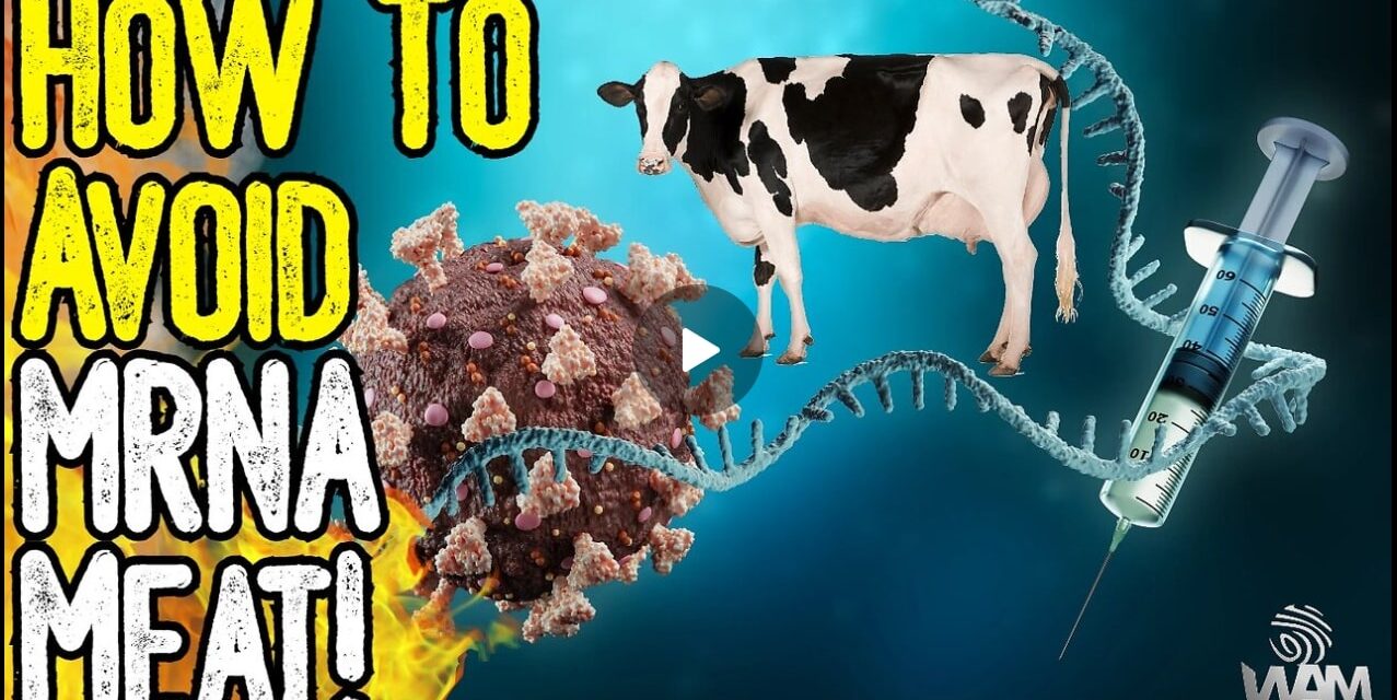 HOW TO AVOID MRNA MEAT! – The Fight Against Farmers Continues!