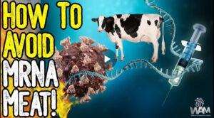 mrna