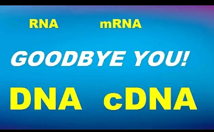 Goodbye You! cDNA PATENTED HUMANS!