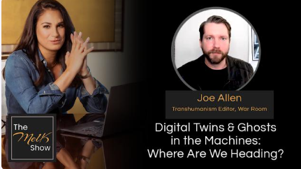 Mel K & Joe Allen | Digital Twins & Ghosts in the Machines: Where Are We Heading? | 1-26-24