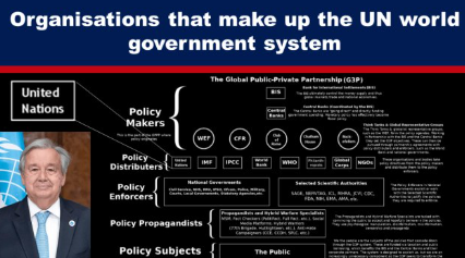 Organisations that make up the UN World Government System