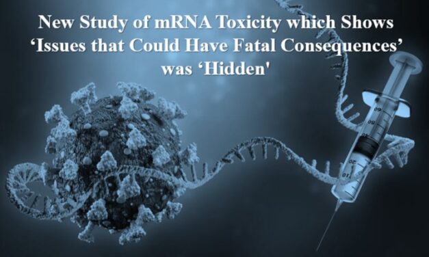 New Study of mRNA Toxicity which Shows ‘Issues That Could Have Fatal Consequences’ was ‘Hidden.’