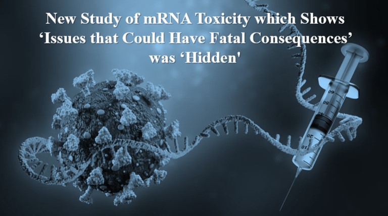 New Study of mRNA Toxicity which Shows ‘Issues That Could Have Fatal Consequences’ was ‘Hidden.’