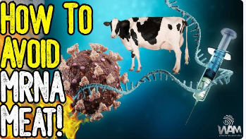 HOW TO AVOID MRNA MEAT!