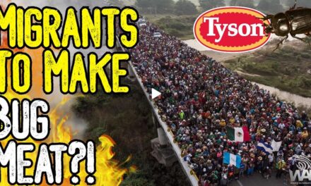 MIGRANTS TO MAKE BUG MEAT?! – Tyson Foods Wants To Hire 42,000 Migrants As They Push Bug Meat!