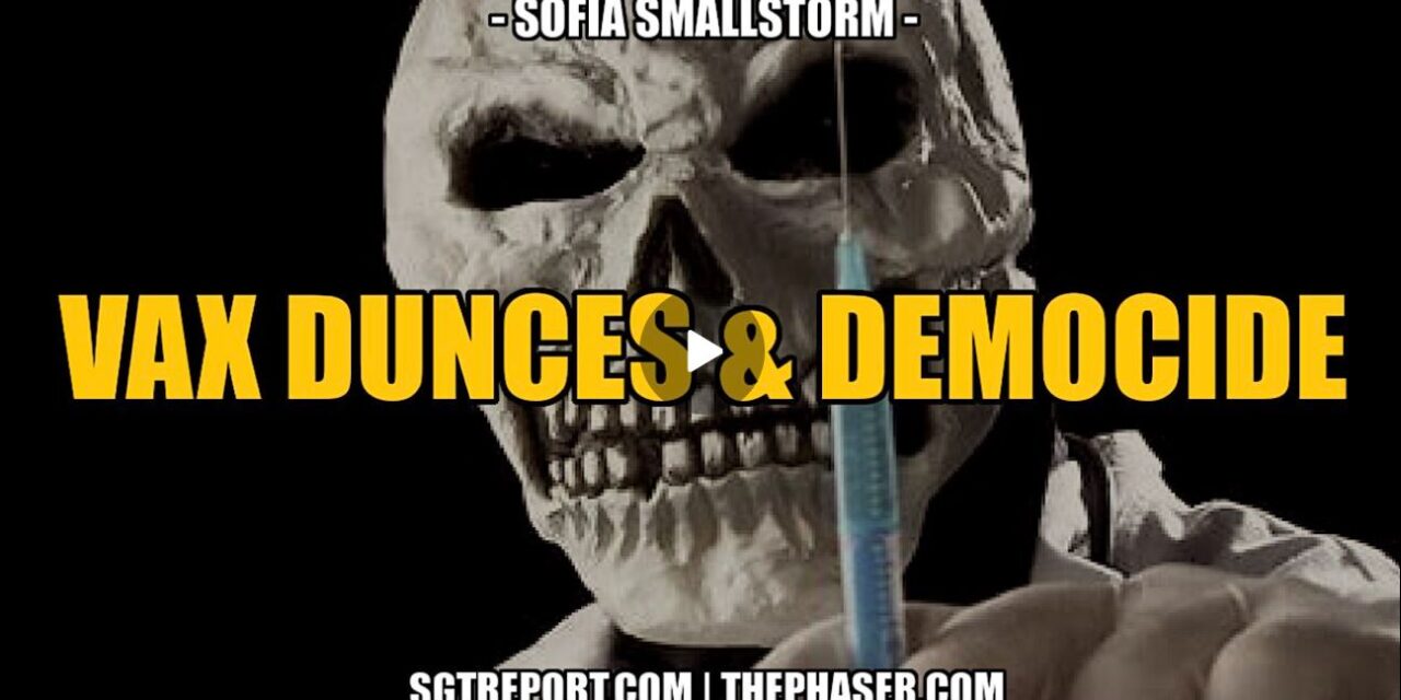 VAX DUNCES & DEMOCIDE — SOFIA SMALLSTORM