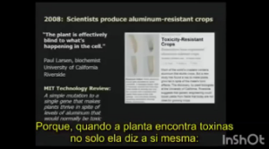 sophia smallstorm chemtrails and synbio