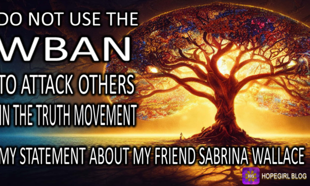 Do Not use the WBAN to attack others in the Truth Movement