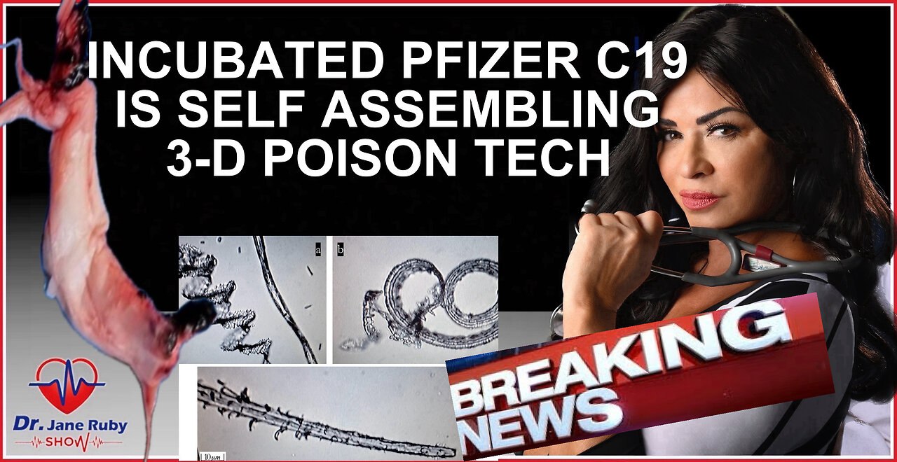 pfizer self assemble