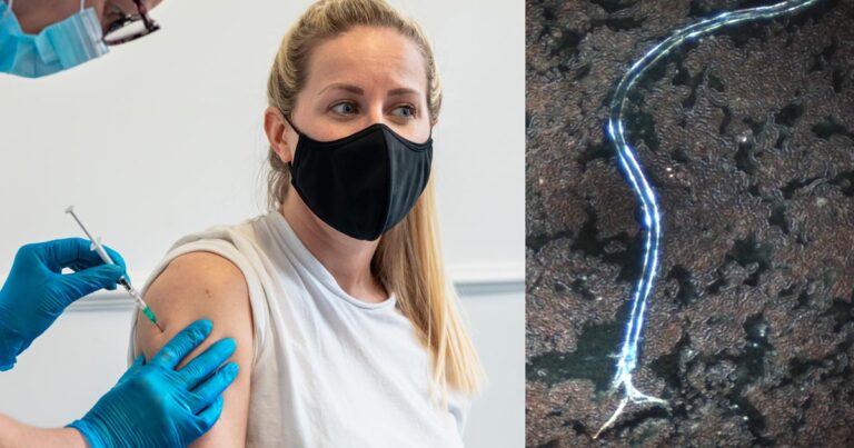 covid-shot-vaccine-self-assembling-entities-structures-study