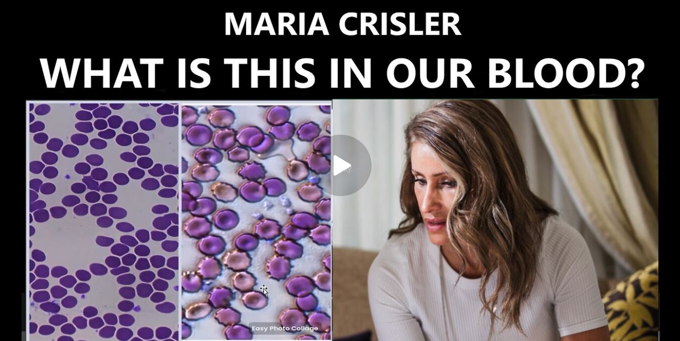 maria crisler blood