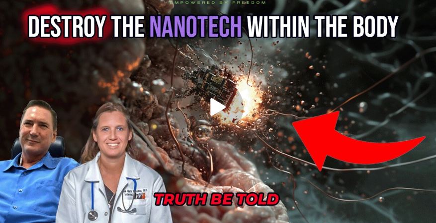 Destroying Nano-Tech Within the Body with Dr. Ana Mihalcea
