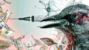 bird-flu-vaccine-678x381