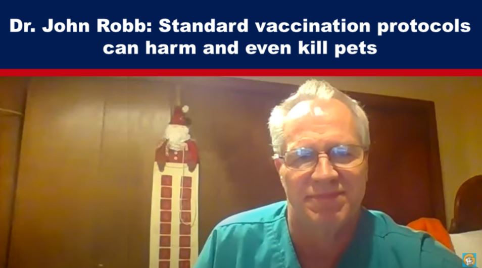 Dr. John Robb: Standard vaccination protocols can harm and even kill pets