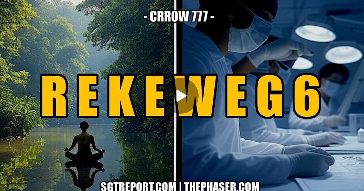 R E K E W E G 6