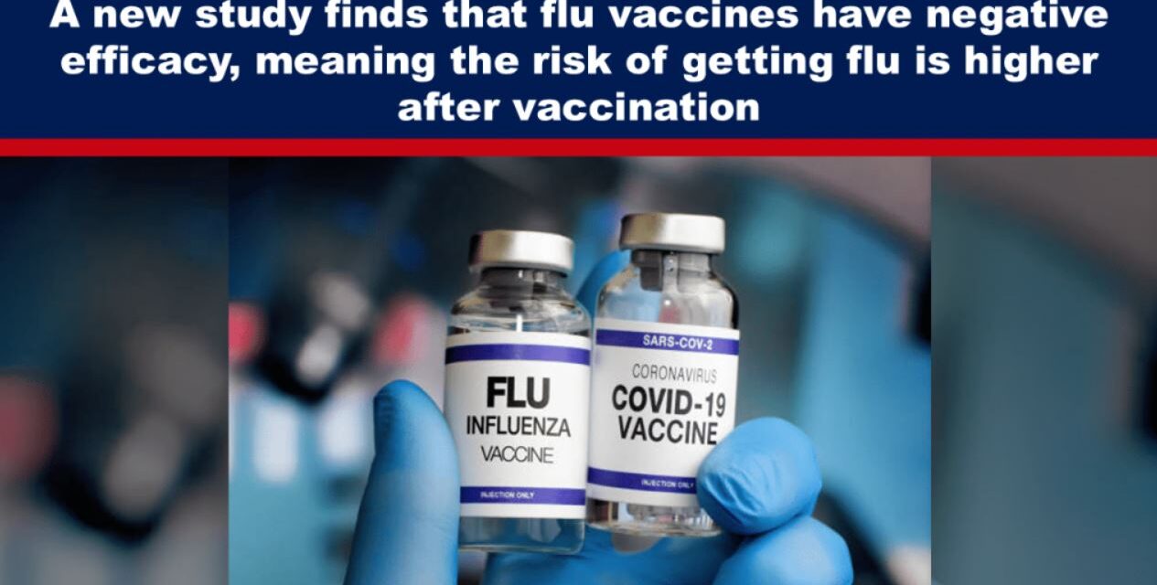 A new study finds that flu vaccines have negative efficacy, meaning the risk of getting flu is higher after vaccination