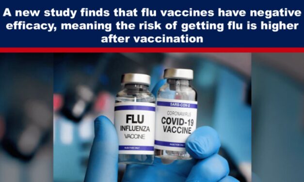 A new study finds that flu vaccines have negative efficacy, meaning the risk of getting flu is higher after vaccination