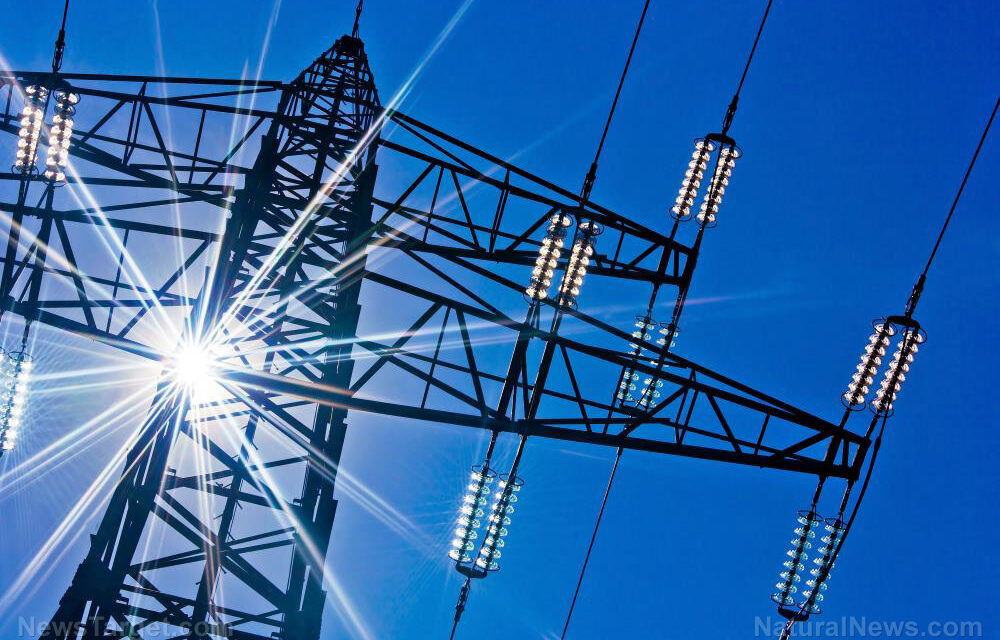 The AI energy surge: How data centers are reshaping global electricity grids