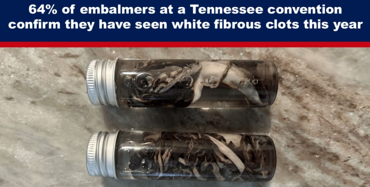 64% of embalmers at a Tennessee convention confirm they have seen white fibrous clots this year