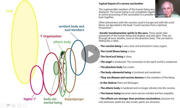 Thomas Mayer discusses spiritual consequences of the COVID vaccine, and what to do about it.