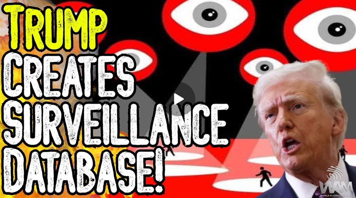 surveillance database