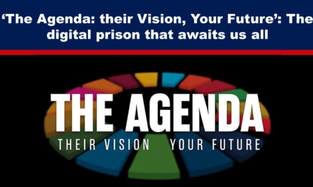 ‘The Agenda: their Vision, Your Future’: The digital prison that awaits us all