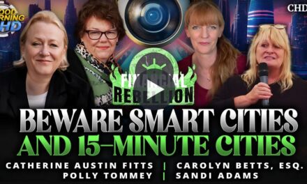 Beware Smart Cities and 15-Minute Cities