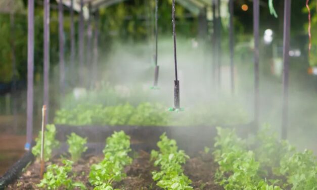 Moderna’s Parent Company Now Spraying RNA Into Your Food