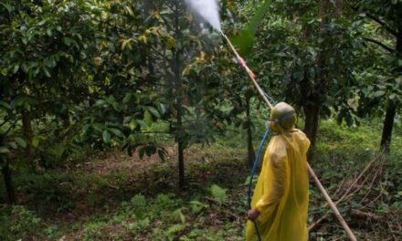 Bill Gates Given Green Light to Secretly Spray RNA on Food Products in America