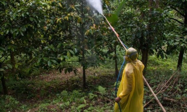 Bill Gates Given Green Light to Secretly Spray RNA on Food Products in America