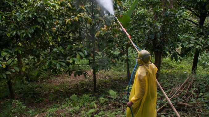Bill Gates Given Green Light to Secretly Spray RNA on Food Products in America