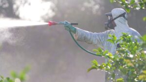 U.S. Waterways Under Attack: Public Kept in Dark as Toxic Diquat Spraying Begins: ‘This Will Kill Everything’