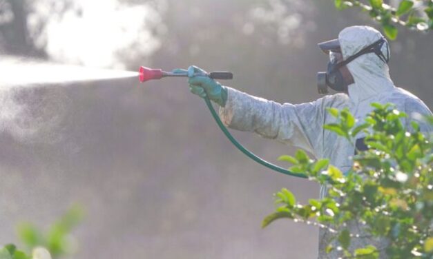 U.S. Waterways Under Attack: Public Kept in Dark as Toxic Diquat Spraying Begins: ‘This Will Kill Everything’