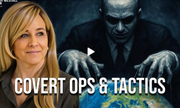 Disinformation, War, and Control: SG Anon on Covert Ops & Tactics