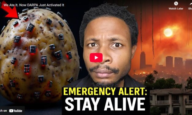 We Ate It. Now DARPA Just Activated It