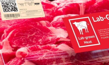 Texas Bans Bill Gates’ Cancer-Causing Lab-Grown Meat