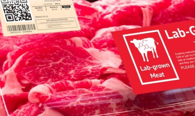 Texas Bans Bill Gates’ Cancer-Causing Lab-Grown Meat