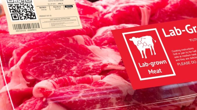 Texas Bans Bill Gates’ Cancer-Causing Lab-Grown Meat