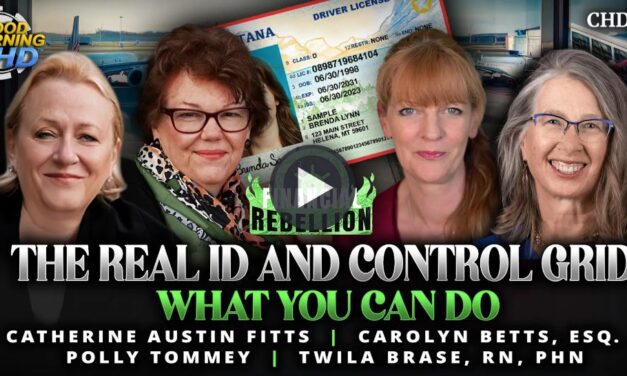 The Real ID and Control Grid: What You Can Do