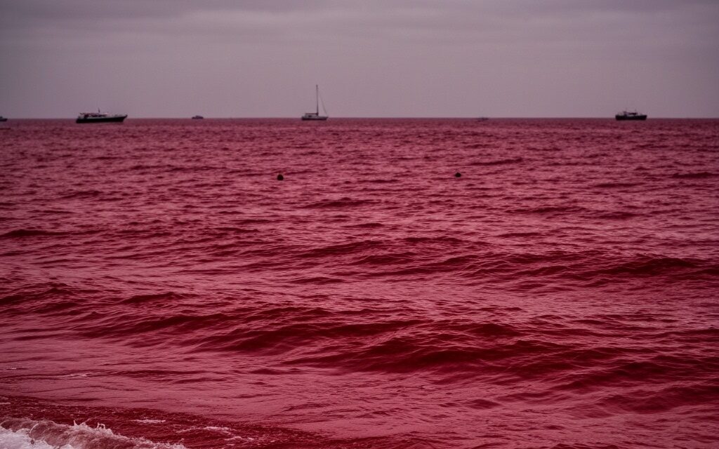 Algae bloom turns Biblical sea blood red sparking many to fear it’s an “Omen”